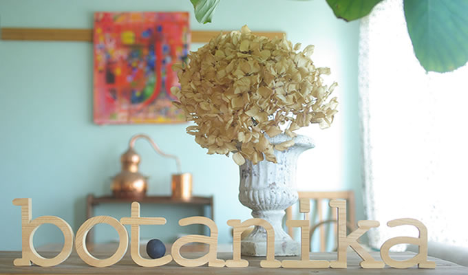 hair room botanika